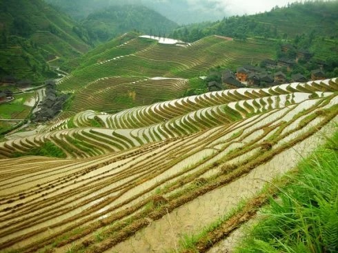 桂林阳朔自由行强烈推荐1.jpg